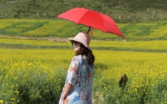 五福影院新址进入www1378